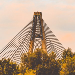 日本一本免费线观看视频
