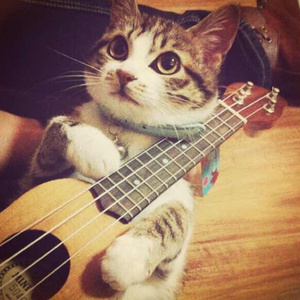 日本一本免费线观看视频
